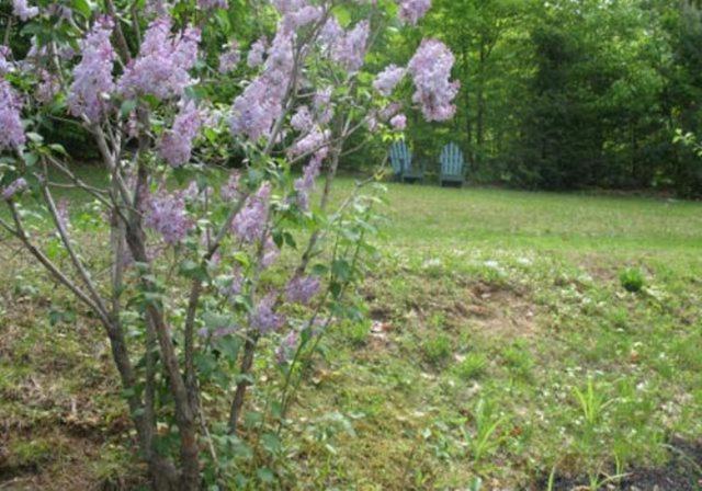 Tumble Inn Schroon Lake 외부 사진